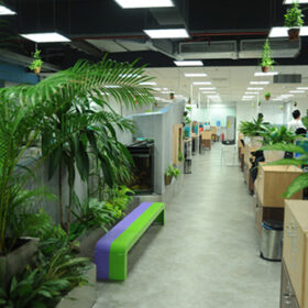 Top 5 cây cảnh mini để bàn HOT nhất năm 2018